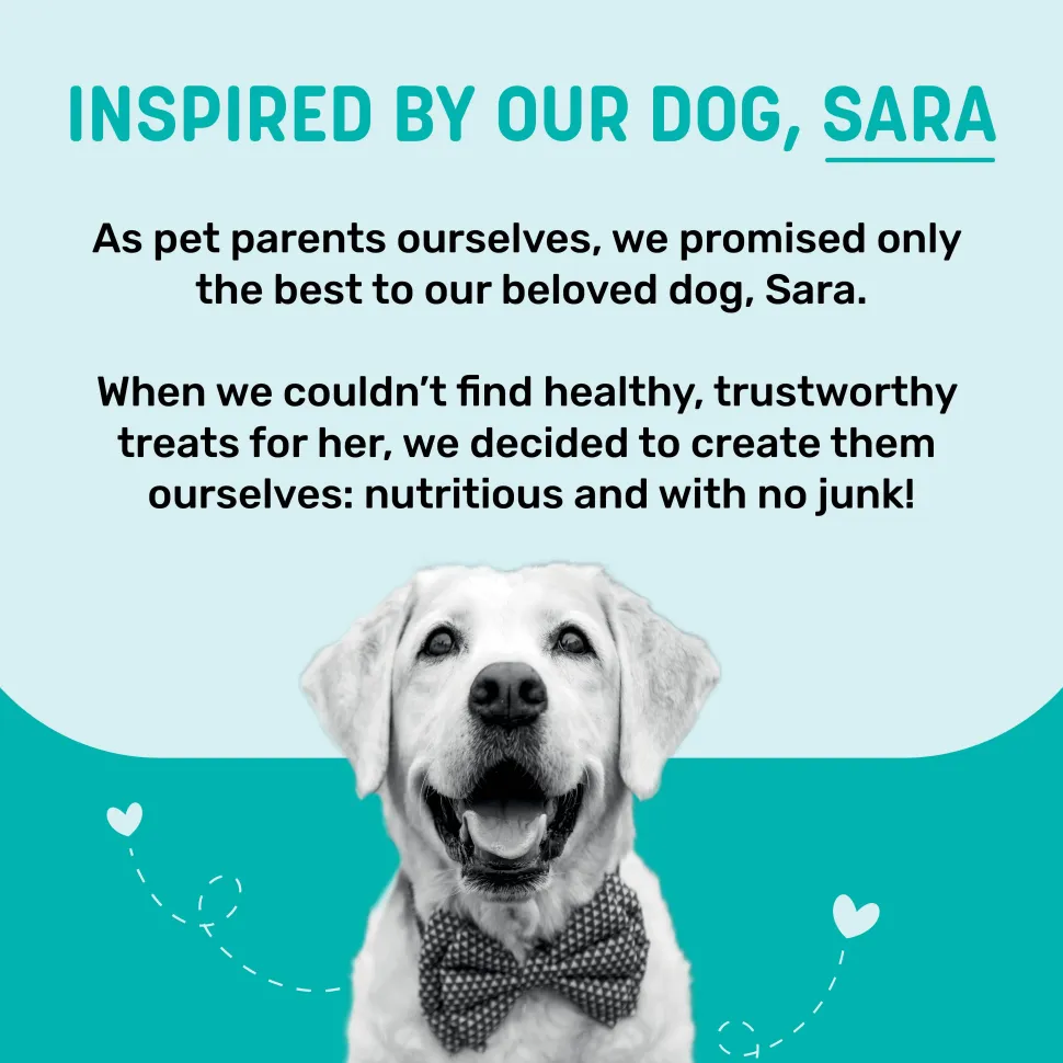 Sara's Dehydrated Salmon Jerky Dog Treats Grain-Free 70g