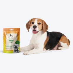 Sara's Mango Chicken Jerky Dog Treats Human-Grade 70g