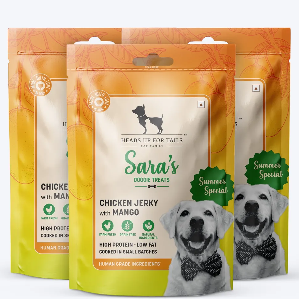 Sara's Mango Chicken Jerky Dog Treats Human-Grade 70g