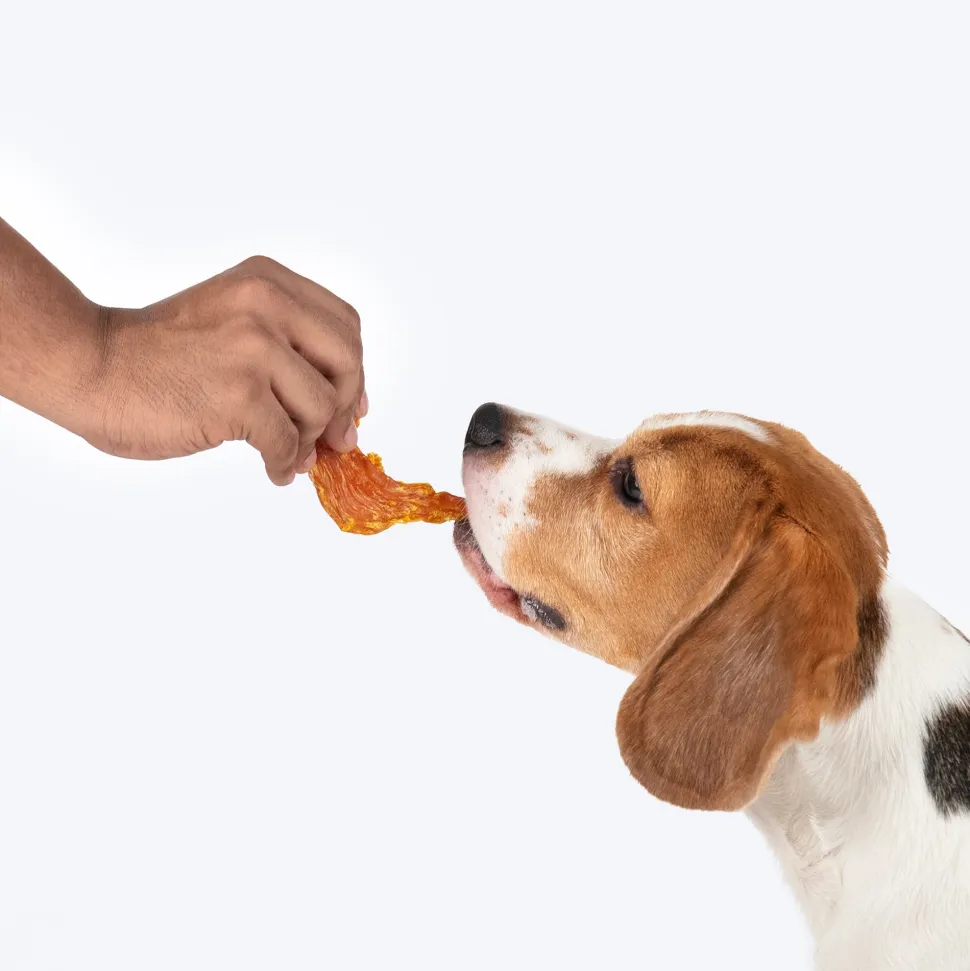 Sara's Mango Chicken Jerky Dog Treats Human-Grade 70g