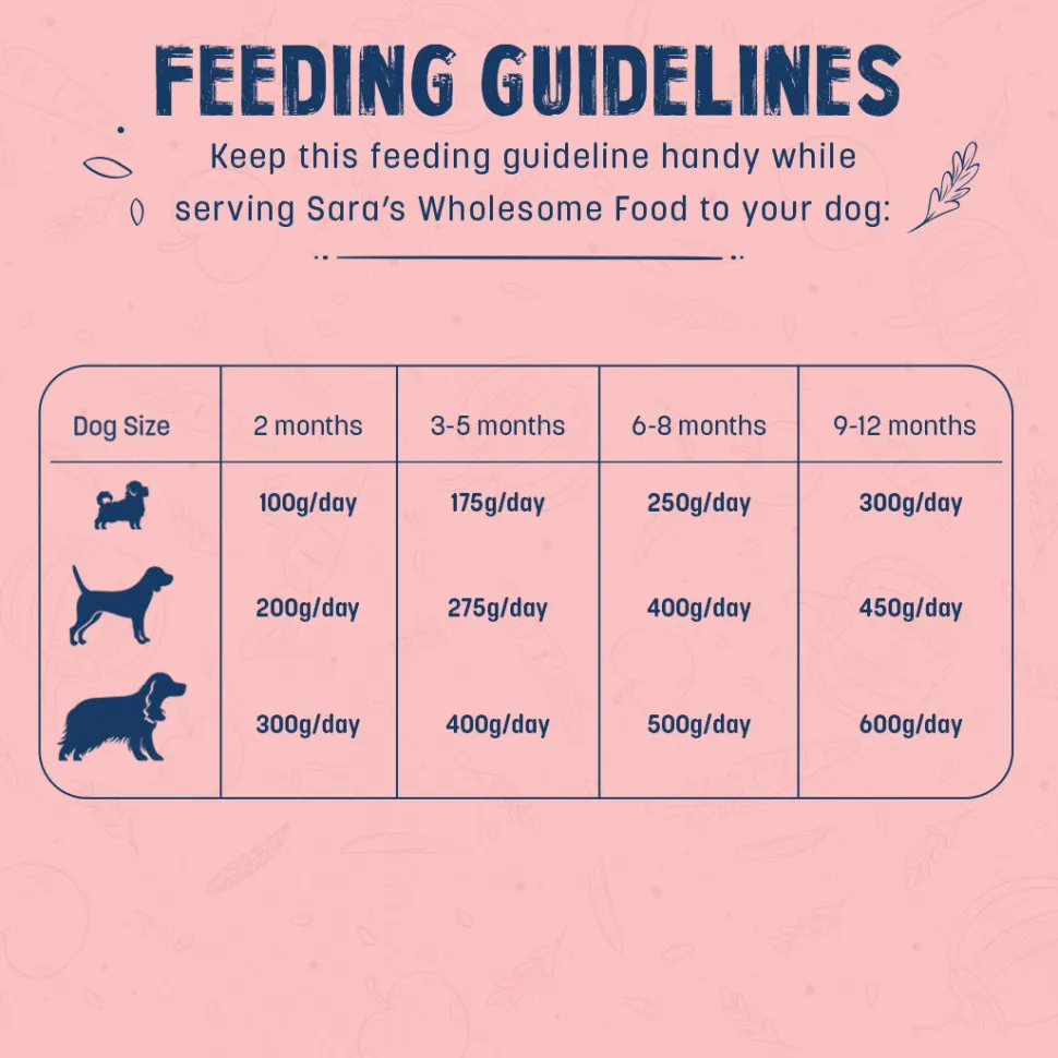 Sara's Wholesome Chicken & Brown Rice Puppy Food 100g