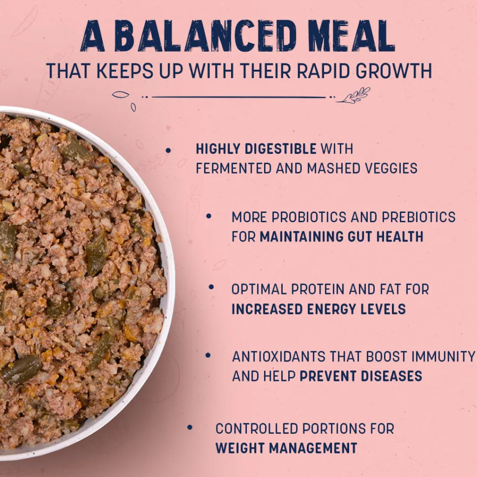 Sara's Wholesome Chicken & Brown Rice Puppy Food 100g