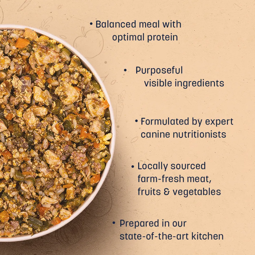 Sara's Wholesome Classic Chicken & Brown Rice Dog Food