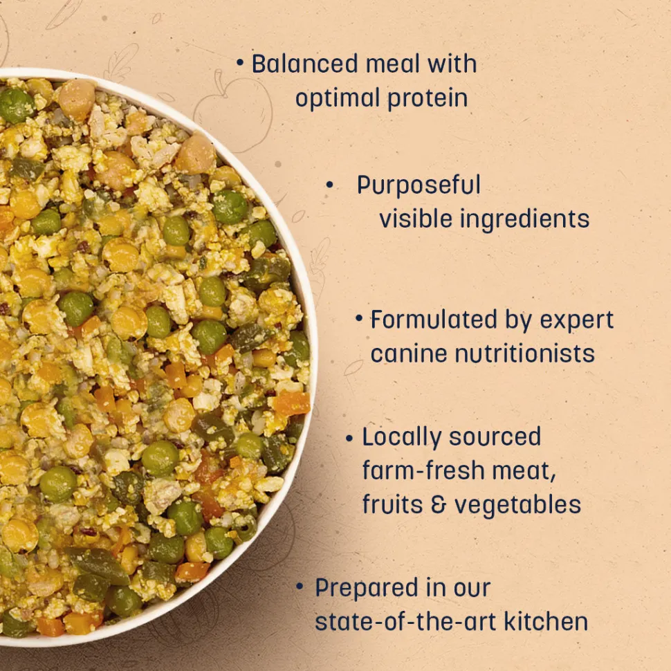 Sara's Wholesome Classic Range Dog Food Combo - 2x300 gm