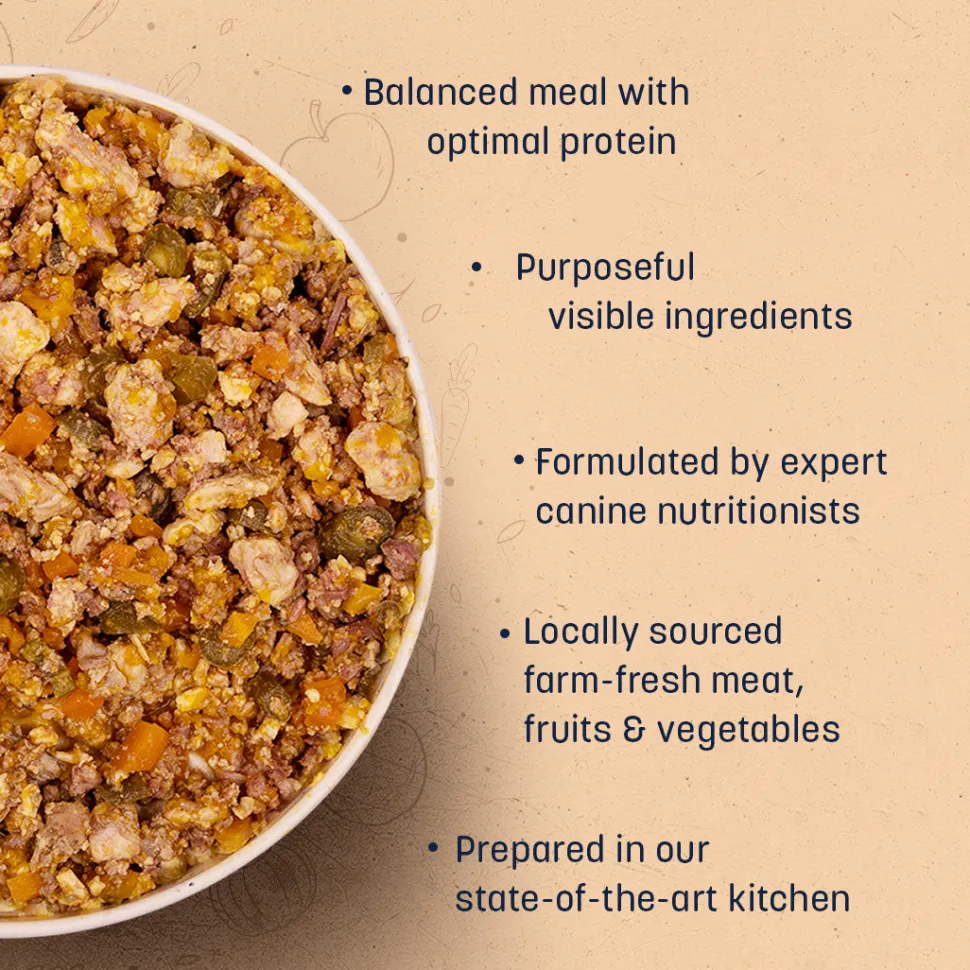 Sara's Wholesome Food Combo For Dogs - 4x300 gm