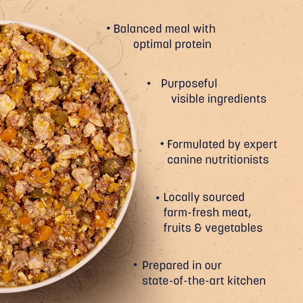 Sara's Wholesome Grain-Free Chicken & Turkey Dog Food 7x300g