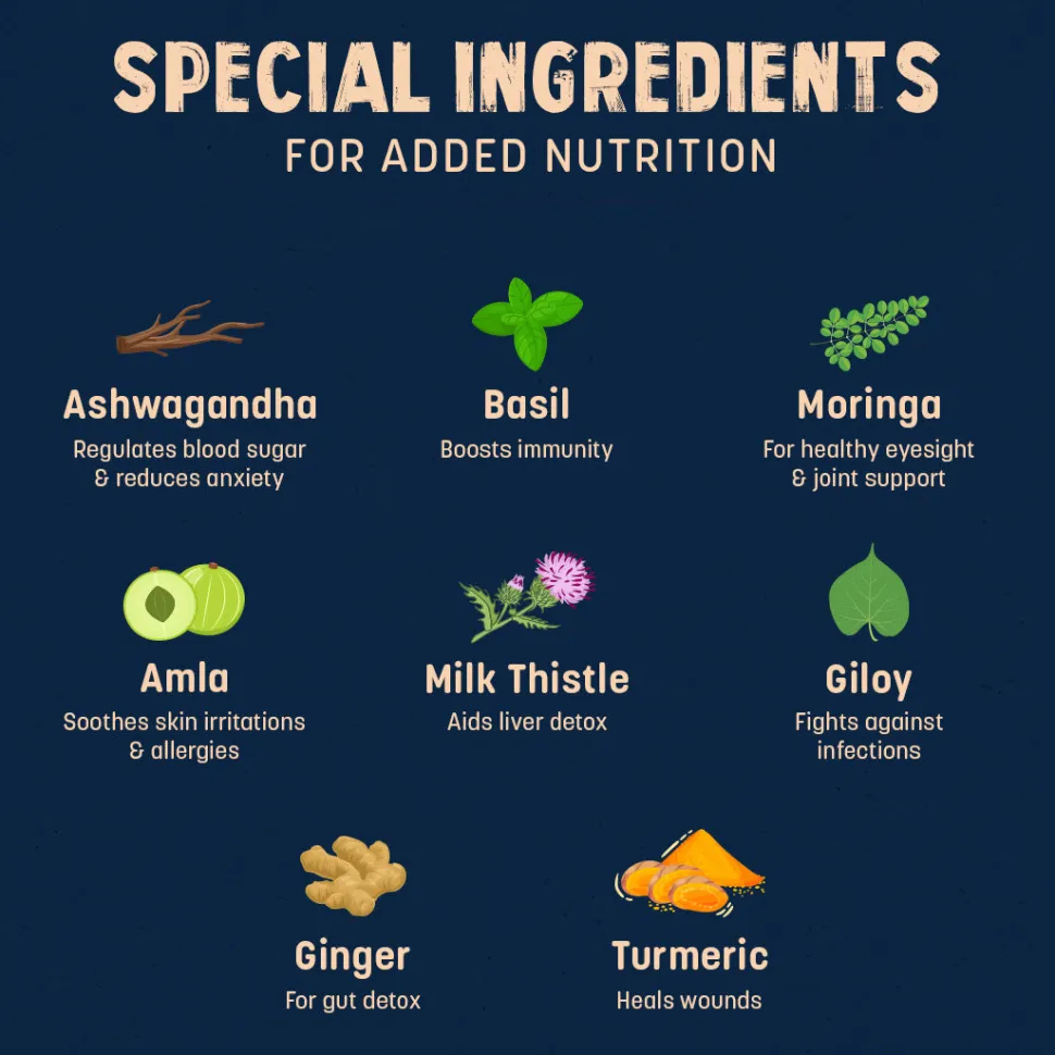 Sara's Wholesome Grain-Free Chicken & Veggies Dog Food