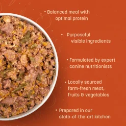 Sara's Wholesome Grain-Free Chicken & Veggies Dog Food