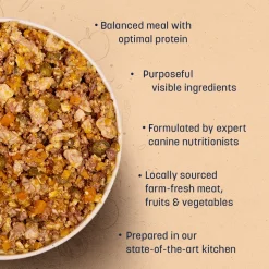 Sara's Wholesome Grain-Free Dog Food Combo - 2x100 gm