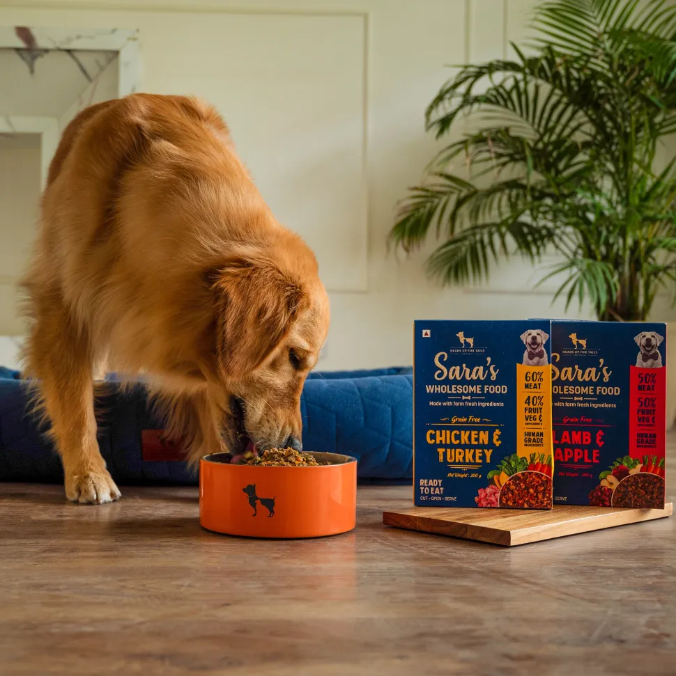 Sara's Wholesome Grain-Free Dog Food Combo - 2x300 gm