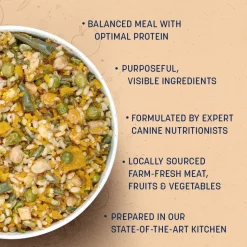 Sara's Wholesome Paneer & Veggies Vegetarian Dog Food