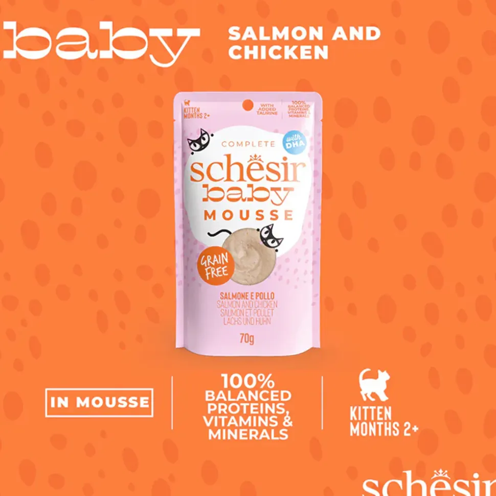 Schesir Baby Mousse Salmon & Chicken Wet Food For Kitten - 70 gm
