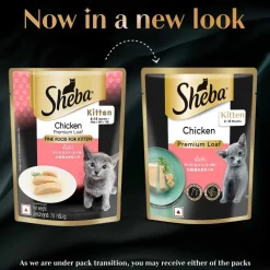 Sheba Chicken Premium Loaf Wet Kitten Food - 70 gm Packs