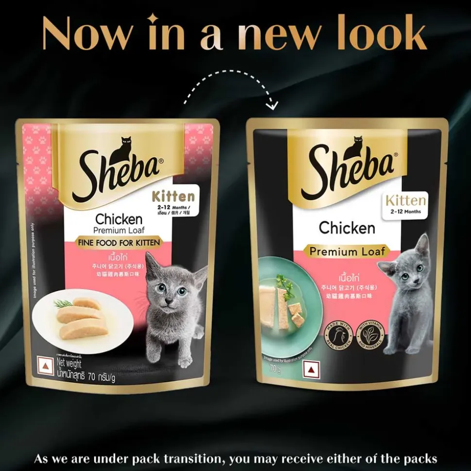 Sheba Chicken Premium Loaf Wet Kitten Food - 70 gm Packs