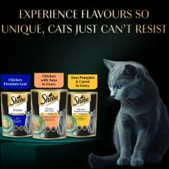 Sheba Chicken Premium Loaf Wet Kitten Food - 70 gm Packs