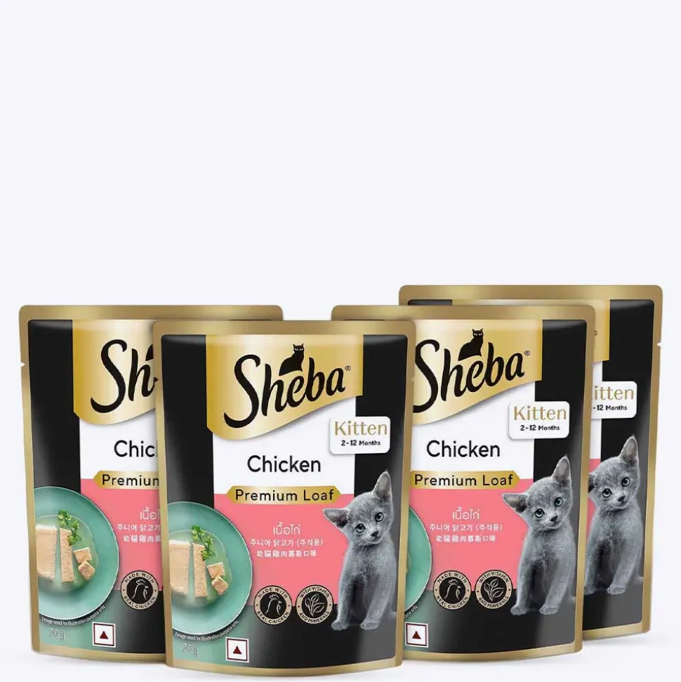 Sheba Chicken Premium Loaf Wet Kitten Food - 70 gm Packs
