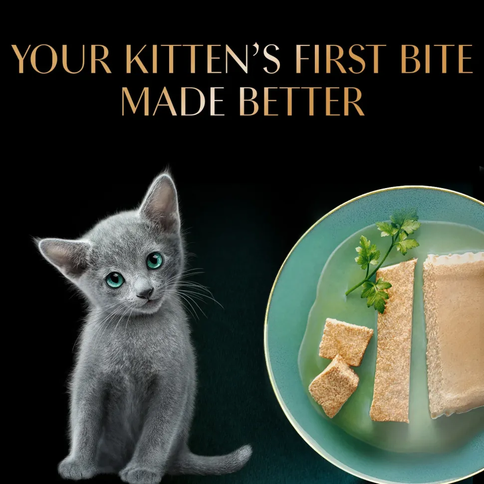Sheba Chicken Premium Loaf Wet Kitten Food - 70 gm Packs