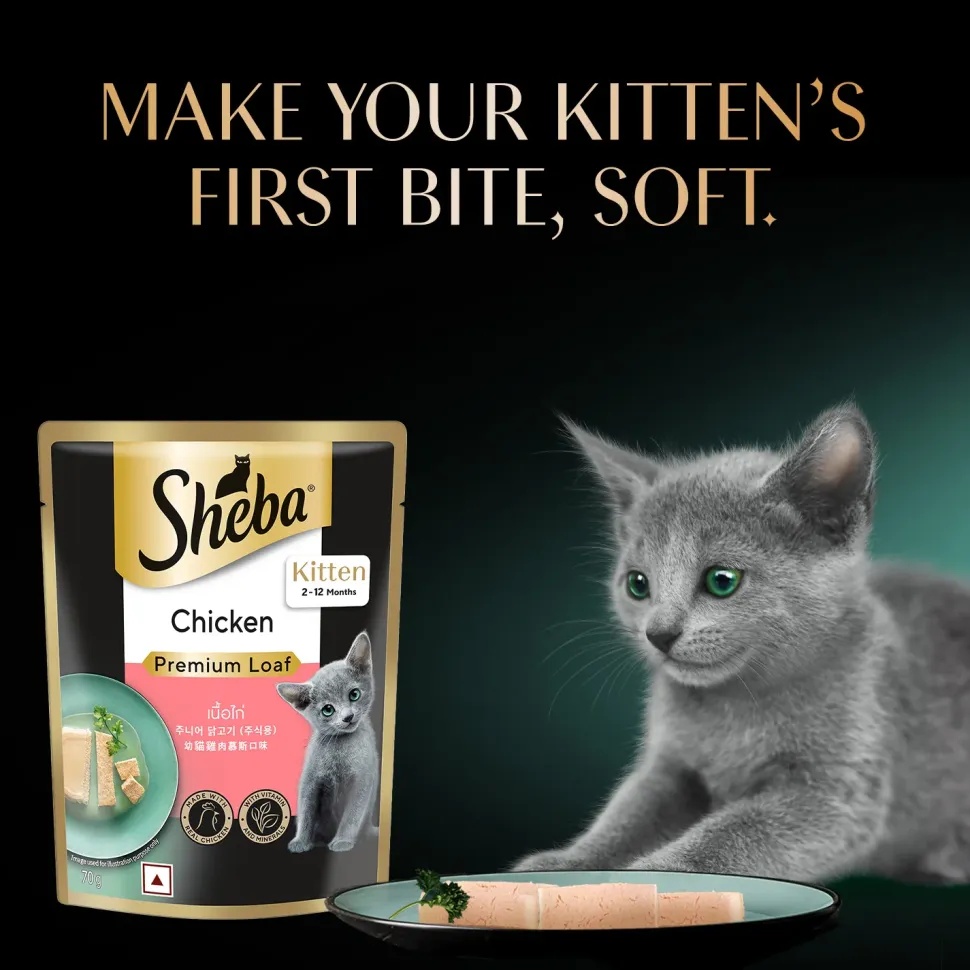 Sheba Chicken Premium Loaf Wet Kitten Food - 70 gm Packs