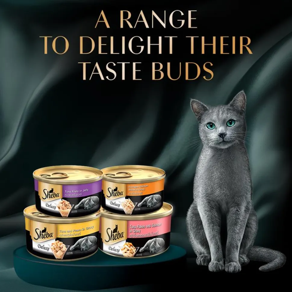 Sheba Deluxe Premium (1+ Years) Tuna Flakes & Salmon In Gravy Adult Cat Wet Food - 85 gm - Pack