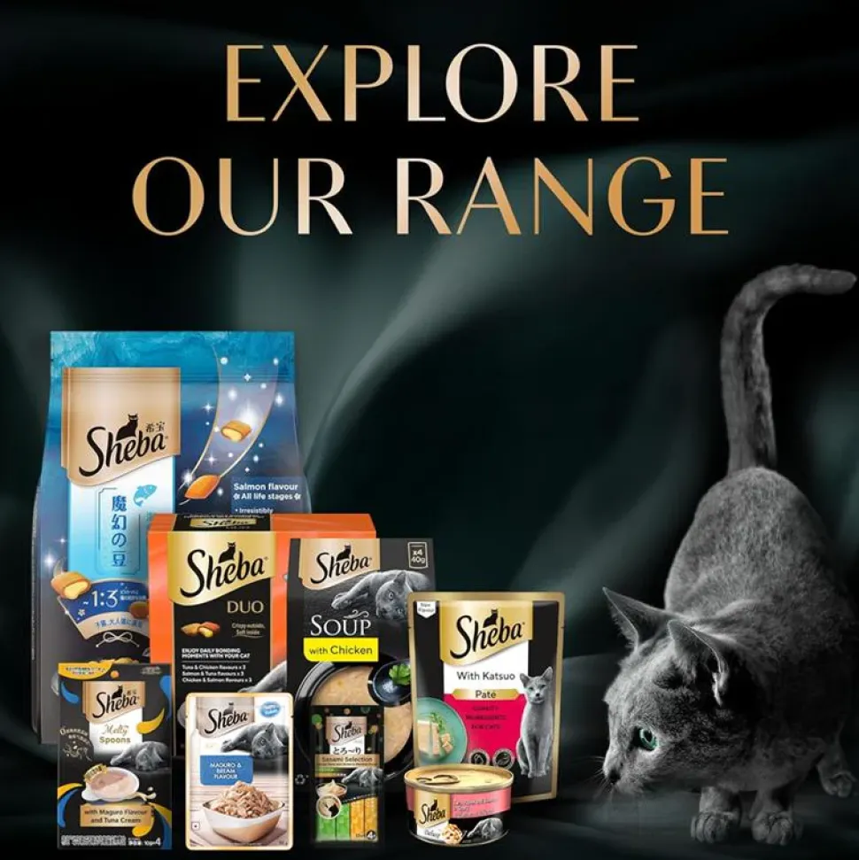 Sheba Deluxe Premium (1+ Years) Tuna Flakes & Salmon In Gravy Adult Cat Wet Food - 85 gm - Pack