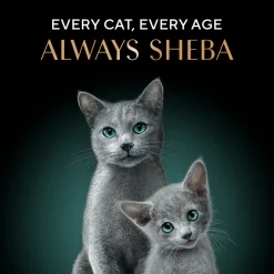 Sheba Deluxe Premium (1+ Years) Tuna Flakes & Salmon In Gravy Adult Cat Wet Food - 85 gm - Pack