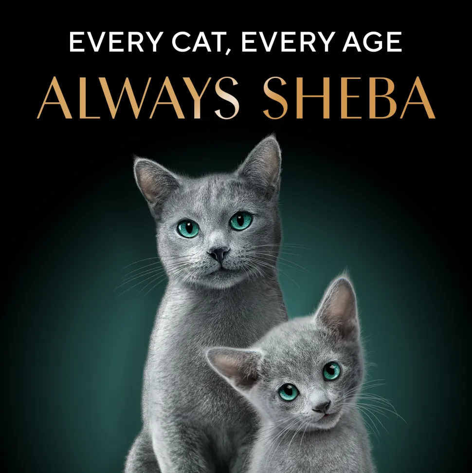 Sheba Deluxe Premium (1+ Years) Succulent Chicken Breast in Gravy Adult Wet Cat Food - 85 gm Packs