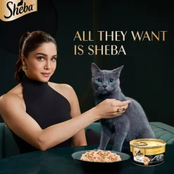 Sheba Deluxe Premium (1+ Years) Tuna and Prawns in Gravy Adult Wet Cat Food - 85 g - Pack