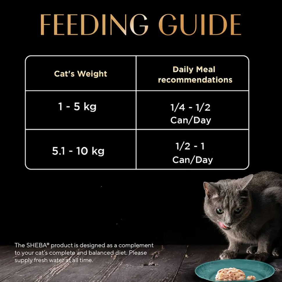 Sheba Deluxe Premium (1+ Years) Tuna and Prawns in Gravy Adult Wet Cat Food - 85 g - Pack