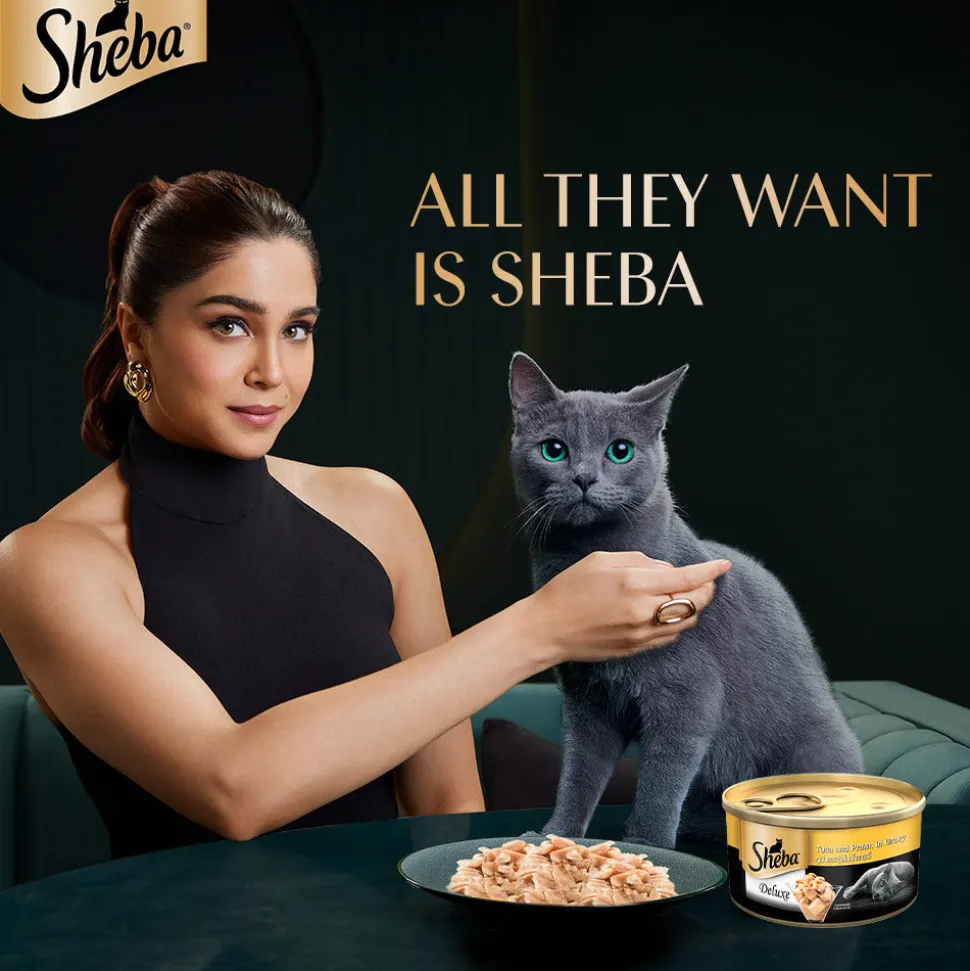 Sheba Deluxe Premium (1+ Years) Tuna and Prawns in Gravy Adult Wet Cat Food - 85 g - Pack