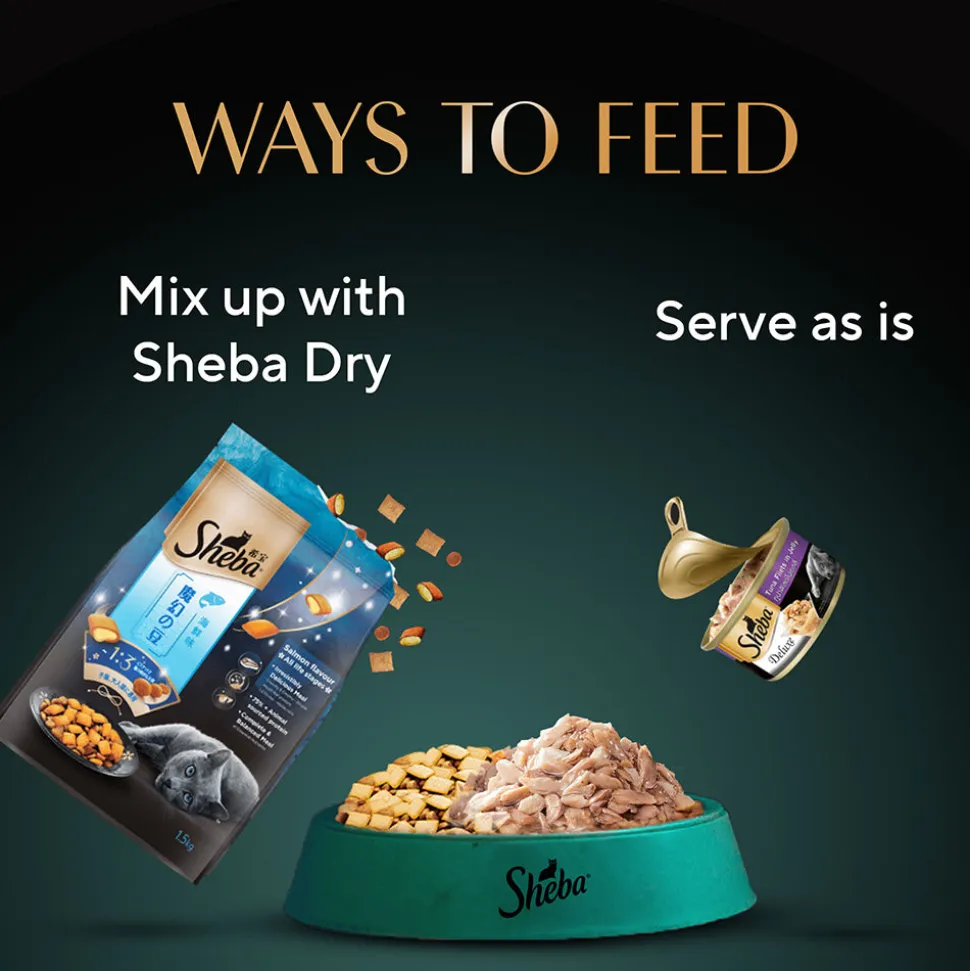 Sheba Deluxe Premium (1+ Years) Tuna Fillets in Jelly Adult Wet Cat Food - 85 g - Pack