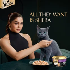 Sheba Deluxe Premium (1+ Years) Tuna Fillets in Jelly Adult Wet Cat Food - 85 g - Pack