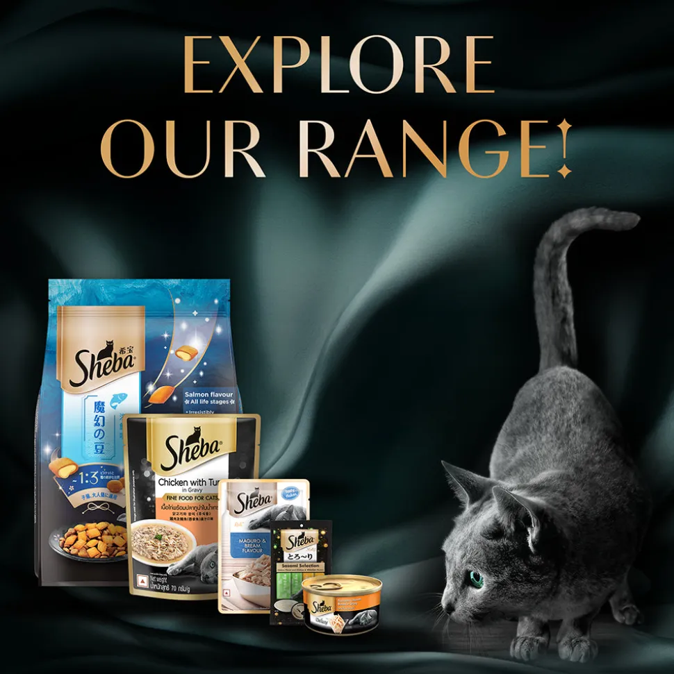 Sheba Deluxe Premium (1+ Years) Tuna Fillets in Jelly Adult Wet Cat Food - 85 g - Pack