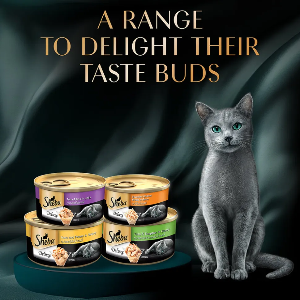 Sheba Deluxe Premium (1+ Years) Tuna Fillets in Jelly Adult Wet Cat Food - 85 g - Pack
