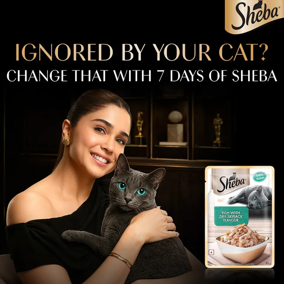 Sheba Fish With Dry Skipjack Flake Adult Cat Wet Food - 35 gm Packs