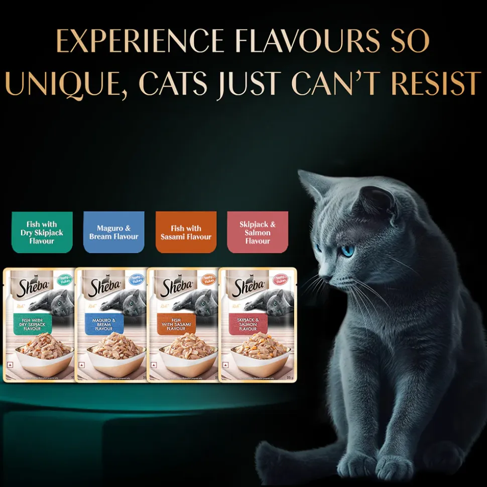 Sheba Fish With Dry Skipjack Flake Adult Cat Wet Food - 35 gm Packs