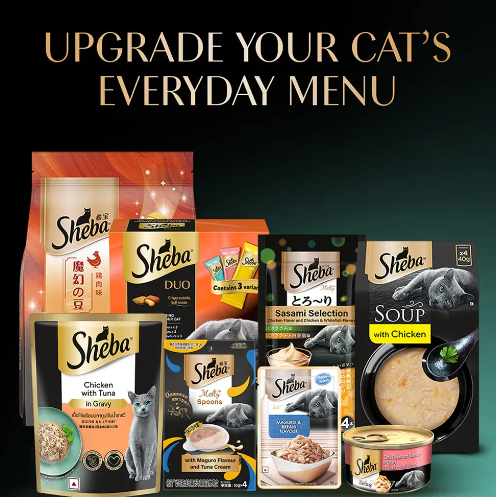 Sheba Fish With Dry Skipjack Flake Adult Cat Wet Food - 35 gm Packs