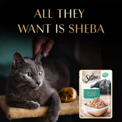 Sheba Fish With Dry Skipjack Flake Adult Cat Wet Food - 35 gm Packs