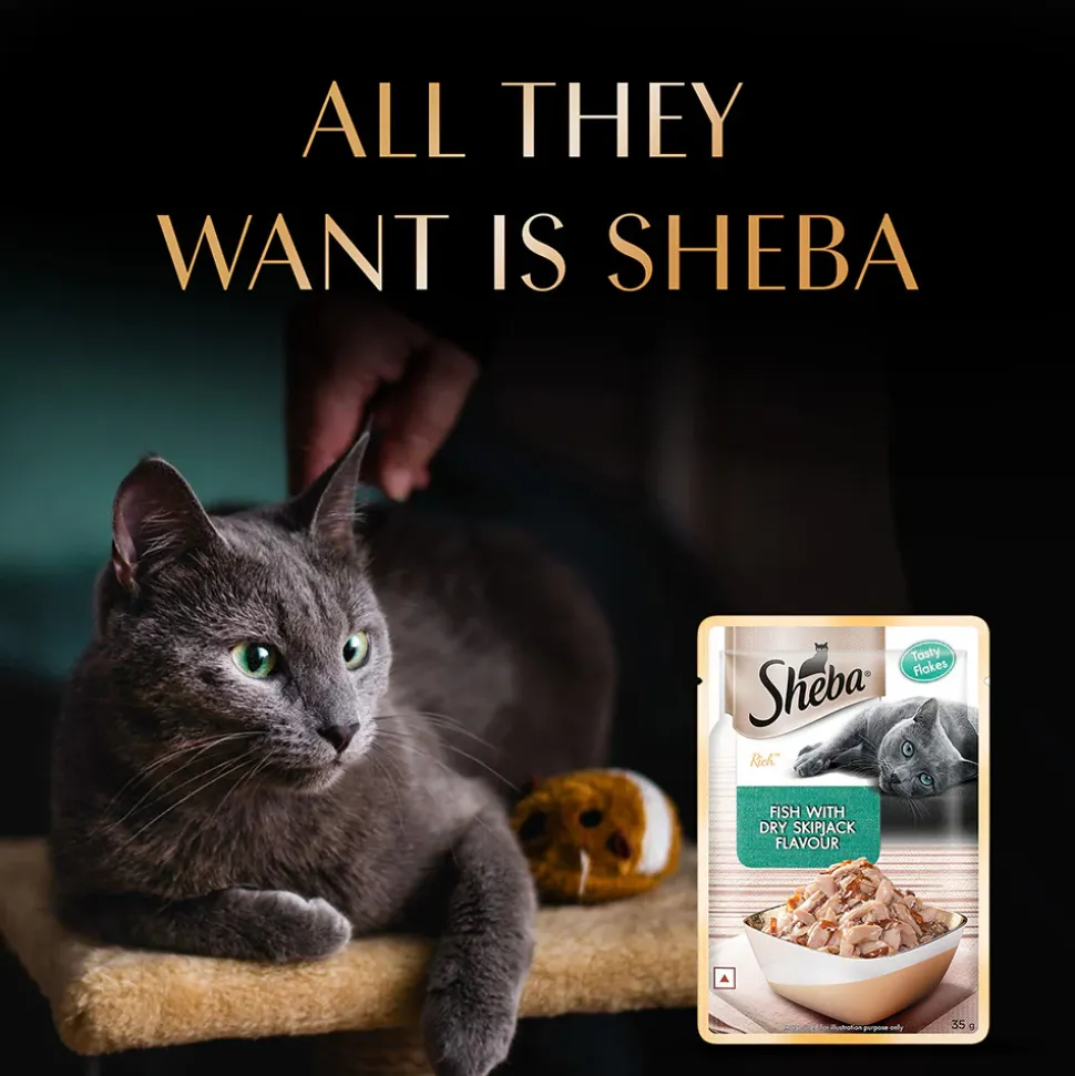 Sheba Fish With Dry Skipjack Flake Adult Cat Wet Food - 35 gm Packs