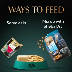 Sheba Katsuo Pate Wet Food For Adult Cat - 70 gm