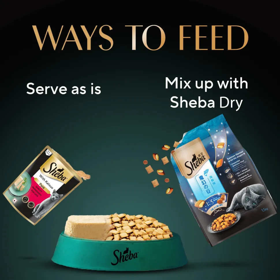 Sheba Katsuo Pate Wet Food For Adult Cat - 70 gm