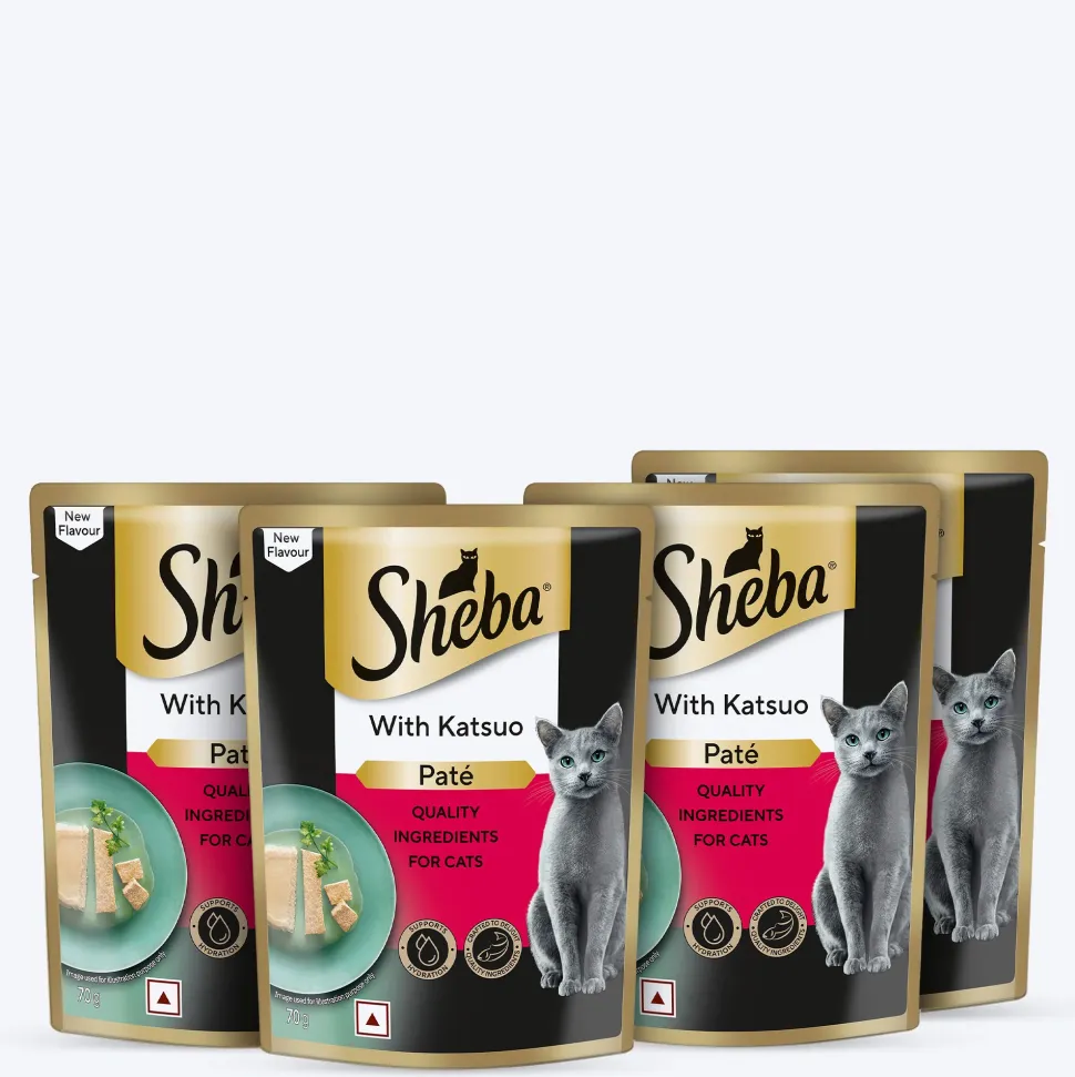 Sheba Katsuo Pate Wet Food For Adult Cat - 70 gm