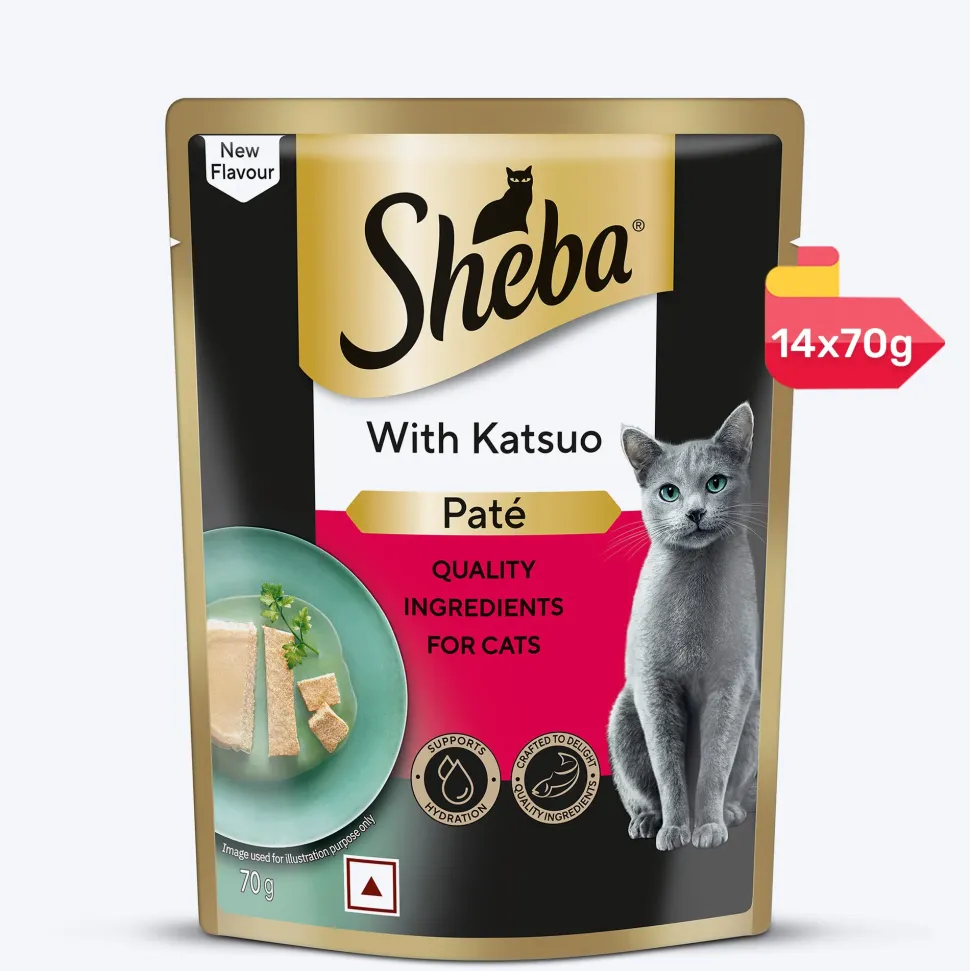 Sheba Katsuo Pate Wet Food For Adult Cat - 70 gm