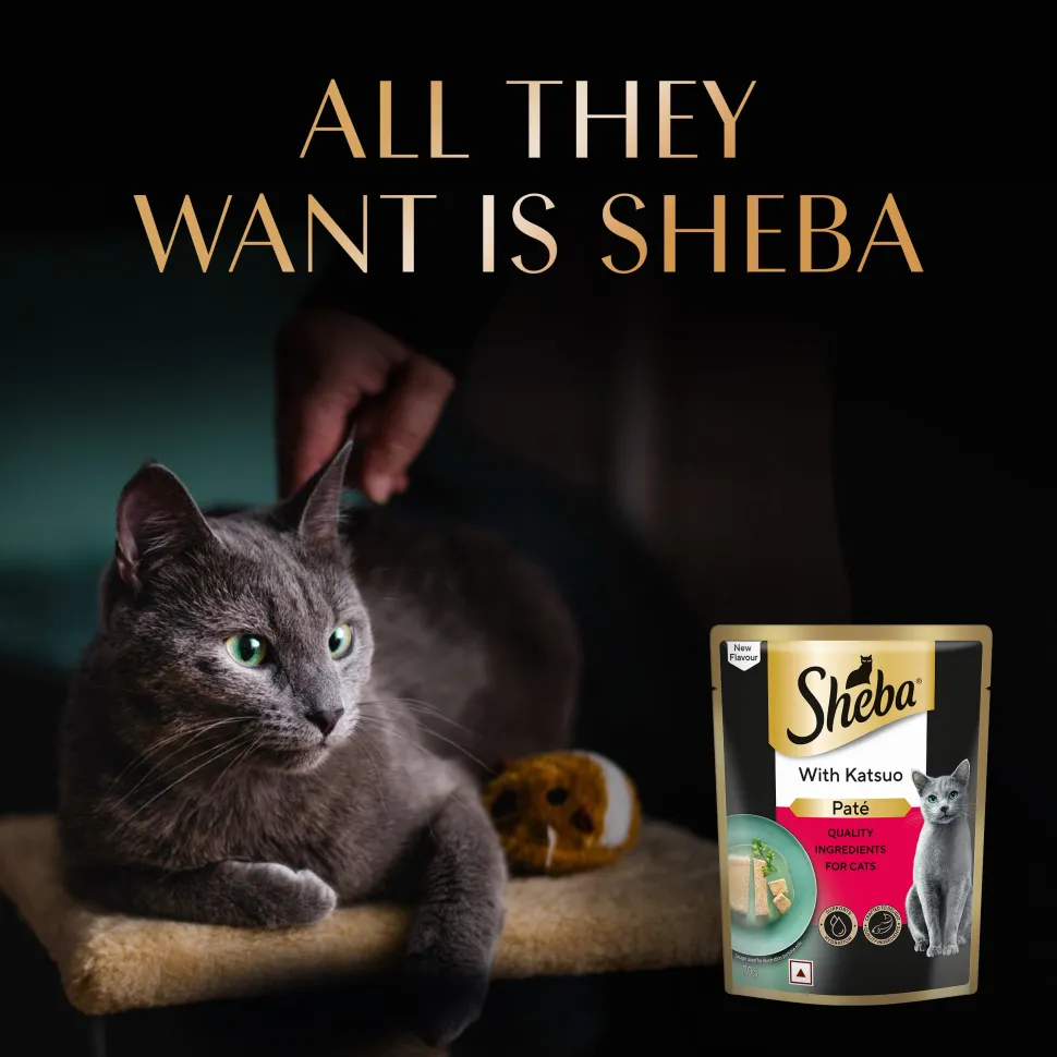 Sheba Katsuo Pate Wet Food For Adult Cat - 70 gm
