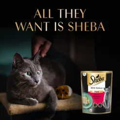 Sheba Katsuo Pate Wet Food For Adult Cat - 70 gm