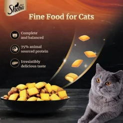 Sheba Kitten & Adult, Chicken Flavour Irresistible Dry Cat Food