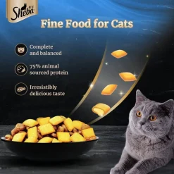 Sheba Kitten & Adult, Salmon Flavour Irresistible Dry Cat Food - 1.5 kg