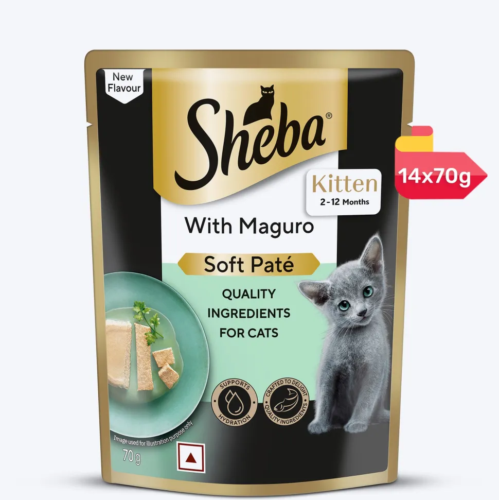 Sheba Maguro Pate Wet Food For Kitten - 70 gm