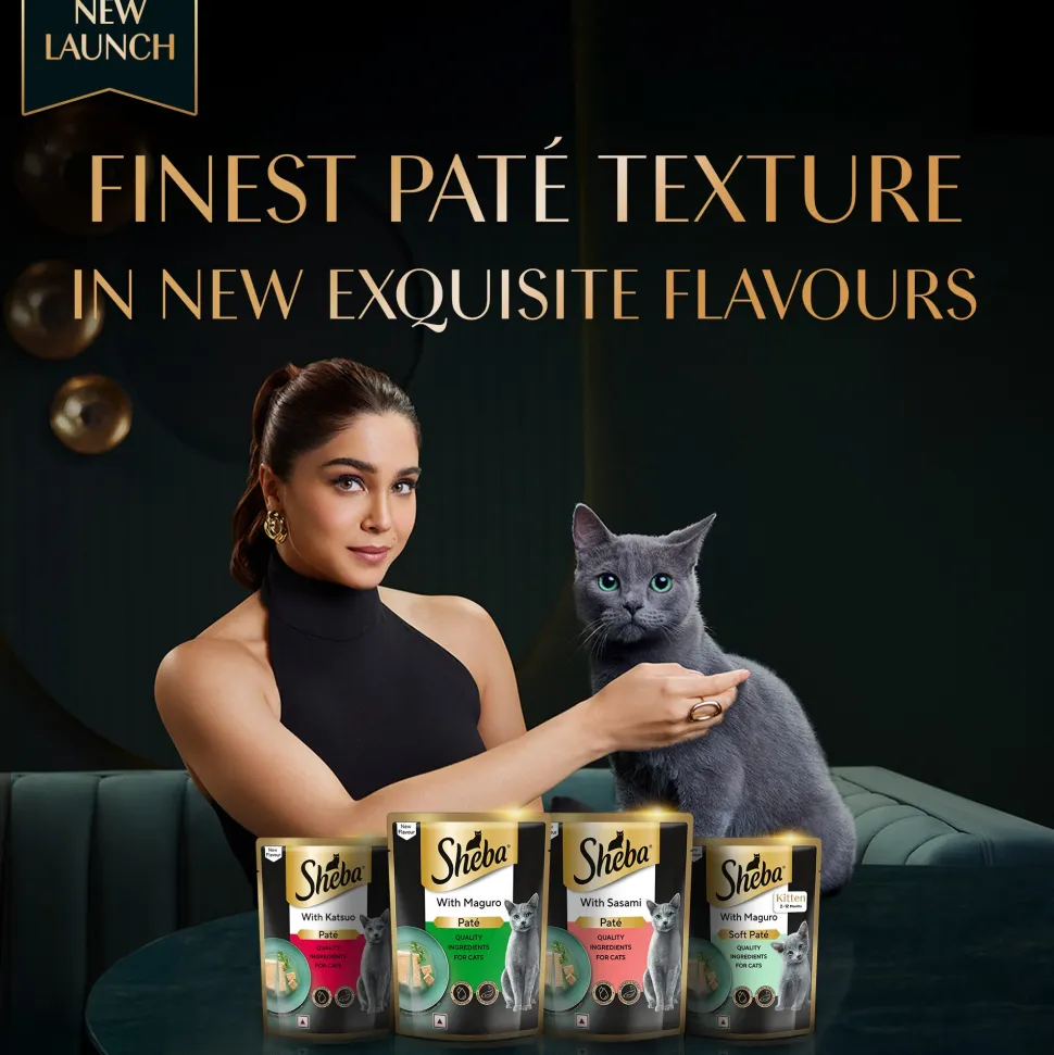 Sheba Maguro Pate Wet Food For Kitten - 70 gm