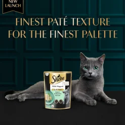 Sheba Maguro Pate Wet Food For Kitten - 70 gm