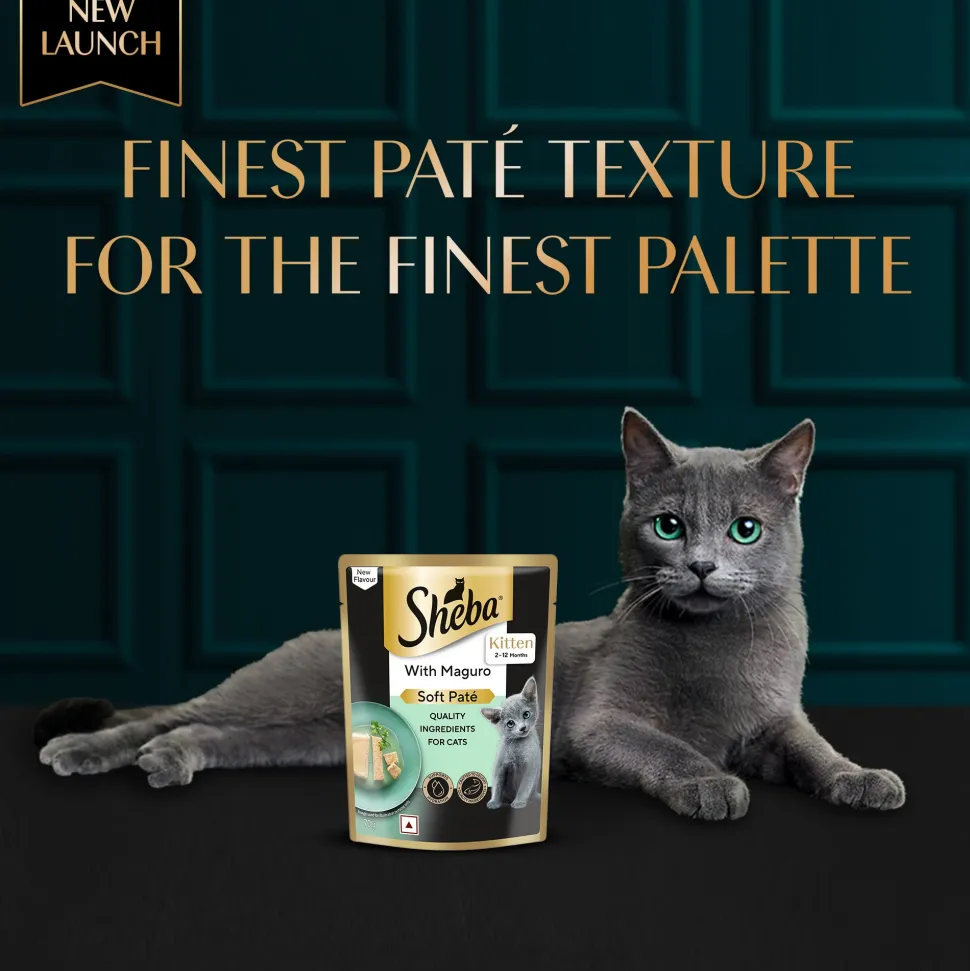 Sheba Maguro Pate Wet Food For Kitten - 70 gm